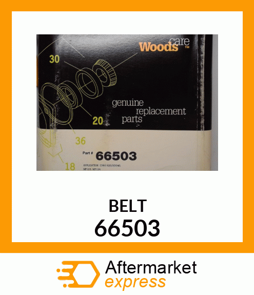 BELT 66503