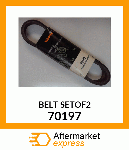 BELT_SET_OF_2 70197