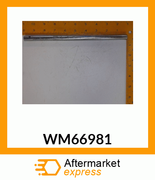 WM66981