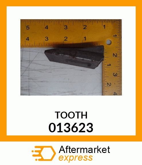 TOOTH 013623