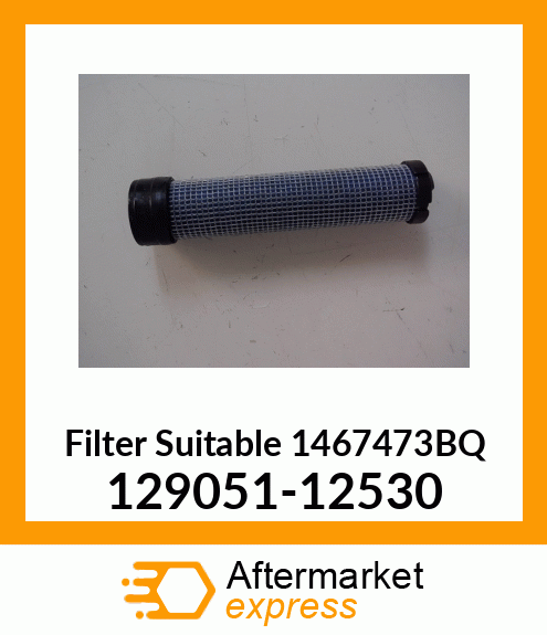 Spare part 129051-12530 + Filter Suitable 1467473BQ