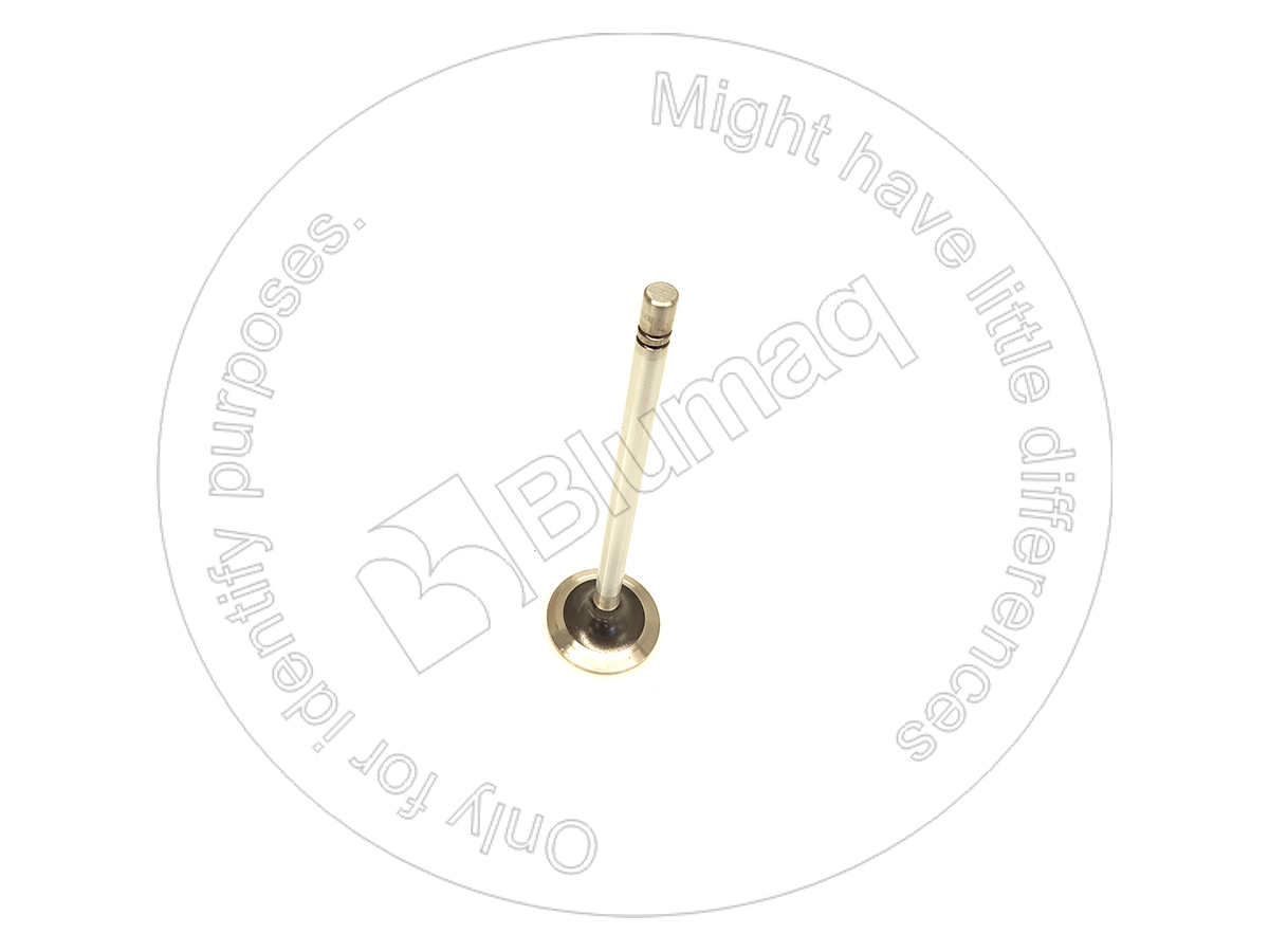 1152368 - VALVE INT- fits CATERPILLAR | Price: $13.80 Stock: Florida