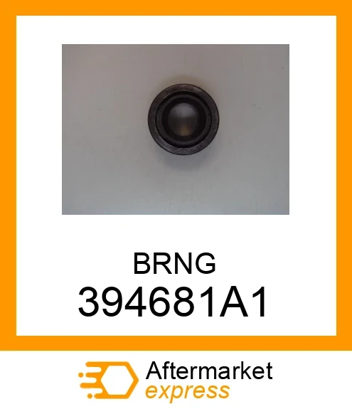 394681A1 - BRNG fits CASE NEW HOLLAND | Price: $123.01 Stock: Wisconsin