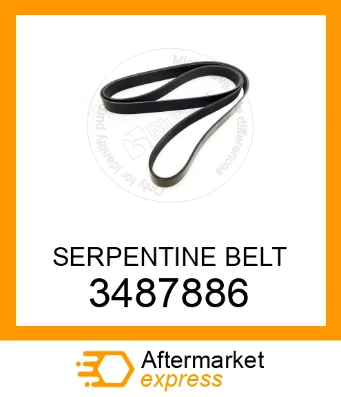 小物 PLUMP BELT 楽天市場】【10％OFFクーポン対象】SHINZONE（シンゾーン